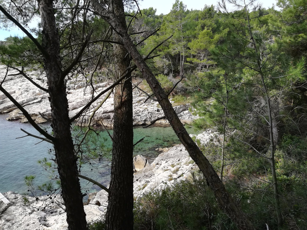 Survival and Adventure School ExtremeSurvive-普拉必去景点