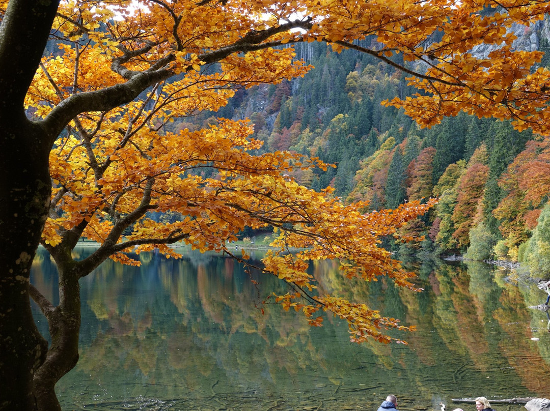 Premiumwanderweg-菲尔德山必去景点