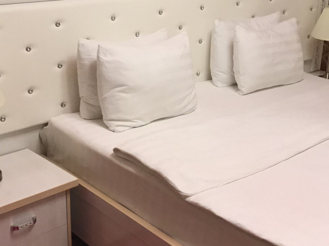 Taraz酒店住宿-Voyazh