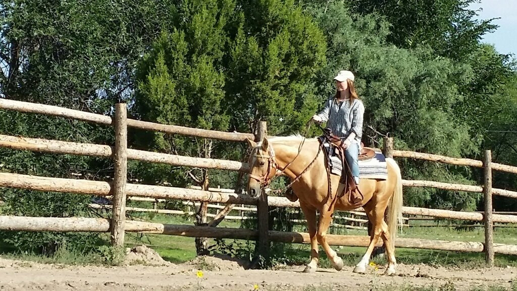 Bishop's Lodge Stables-圣菲必去景点