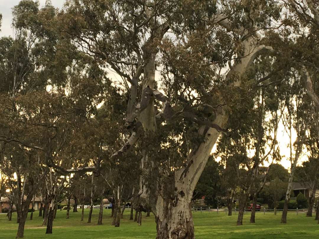 Gunns Road Reserve-Endeavour Hills必去景点