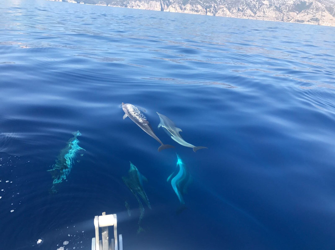 Blue Driving - Noleggio Gommoni ed escursioni nel Golfo di Orosei景点图片