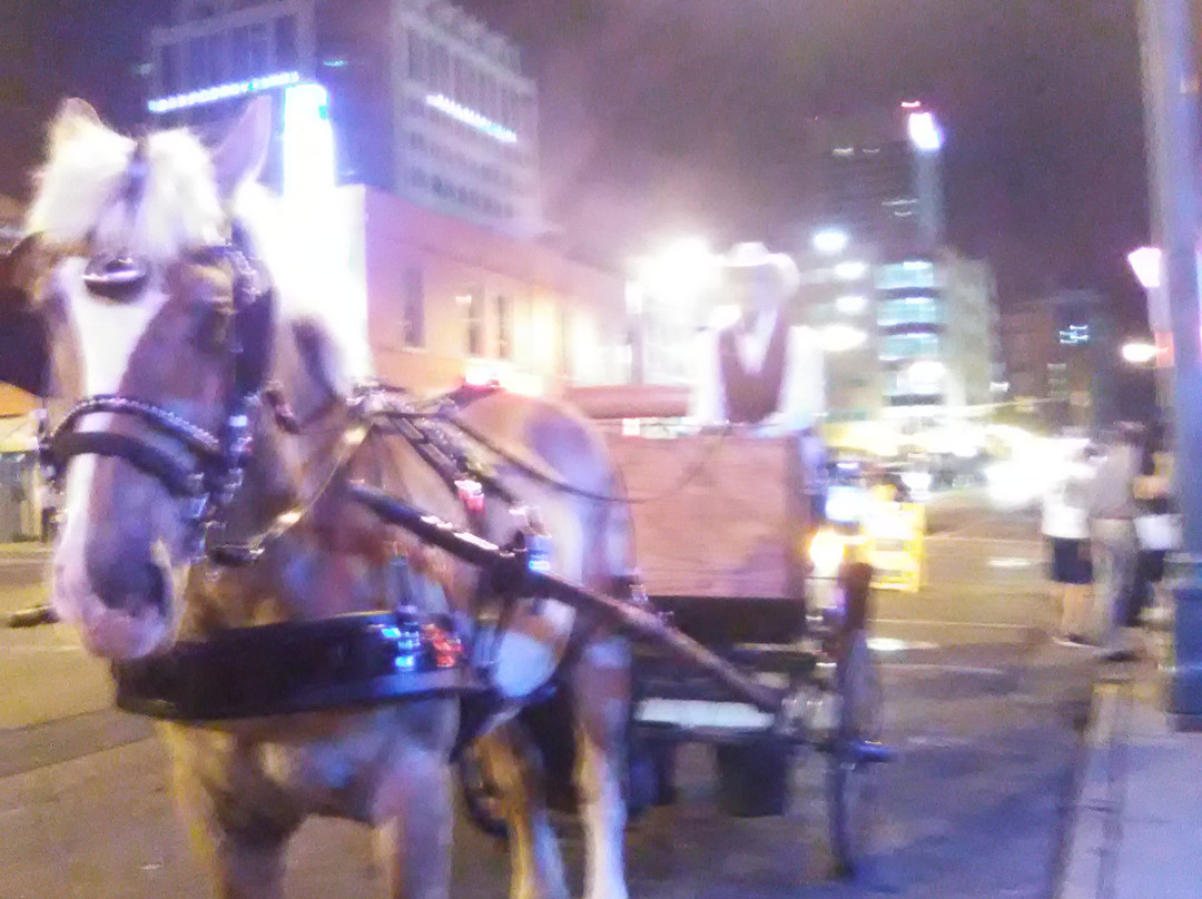 Carriage Tours of Memphis-孟菲斯必去景点