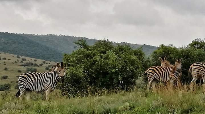 Hennops Mountain Bike Trail-比勒陀利亚必去景点
