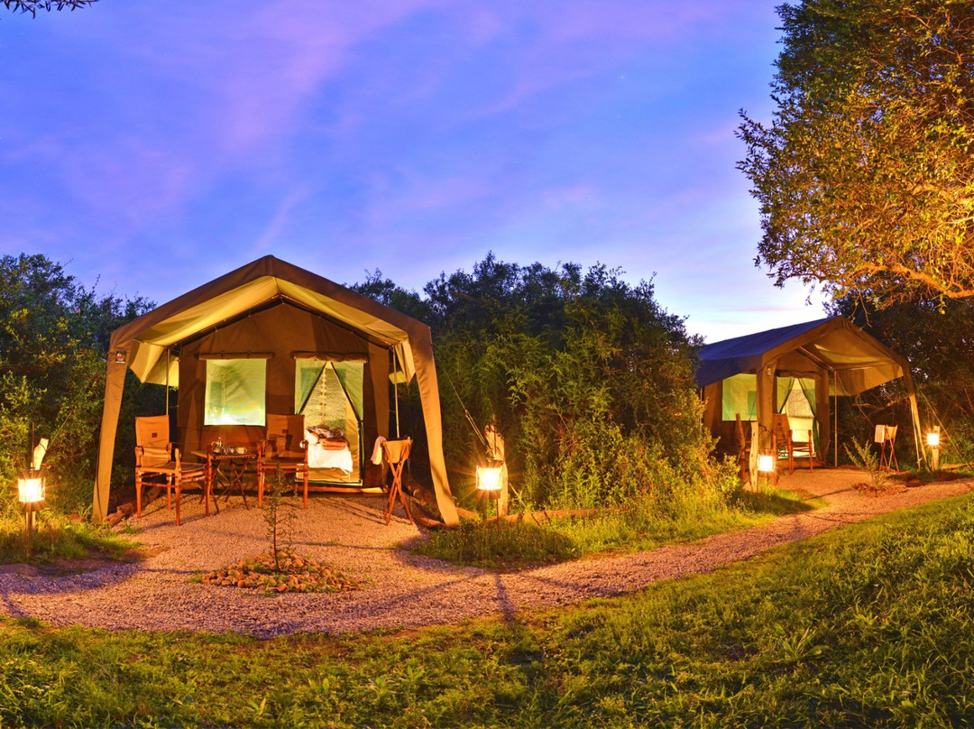 Shamwari Explorer Camp