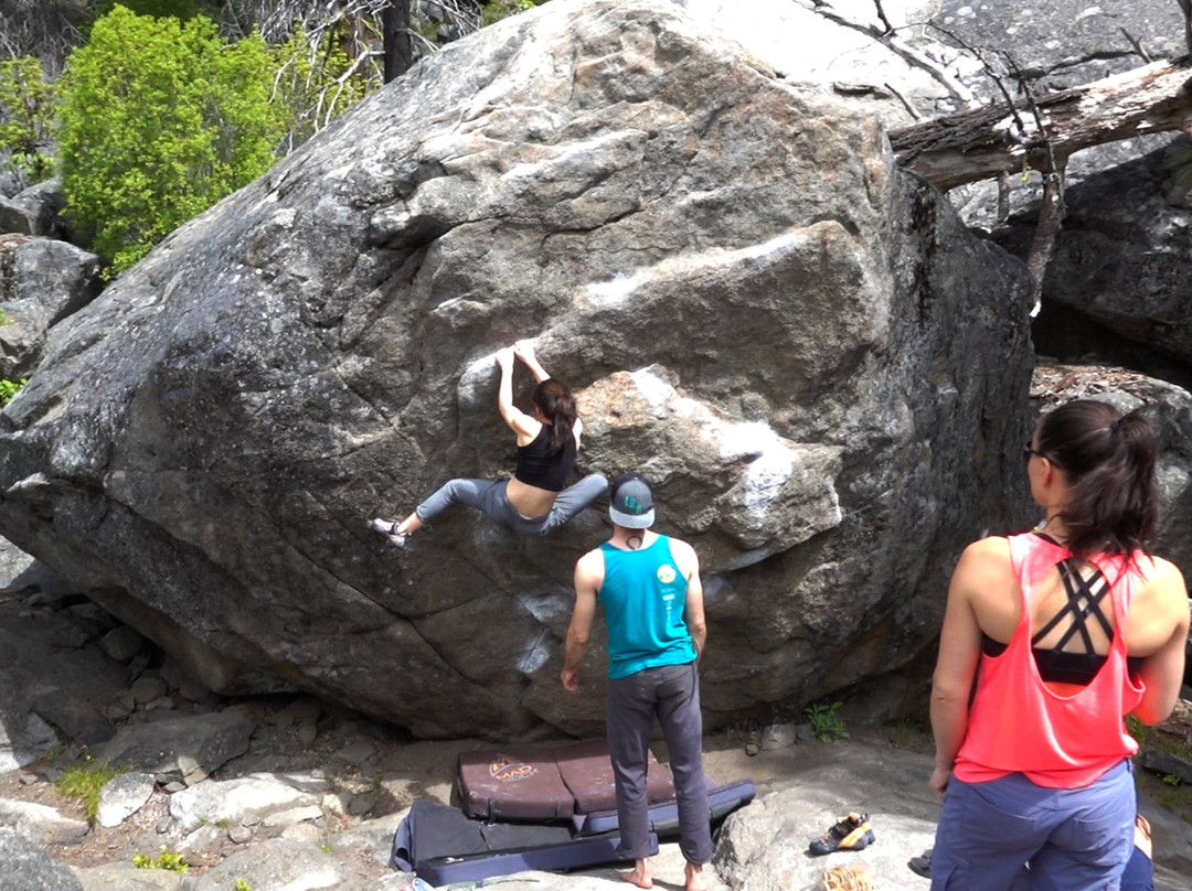 Bouldering Bus-西雅图必去景点