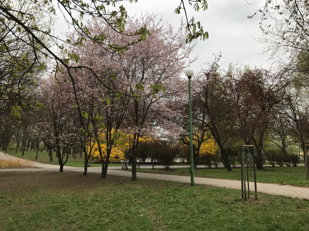 Gorka Szczesliwicka-华沙必去景点