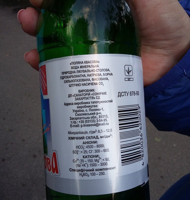 Solnechnaya Polyana主图