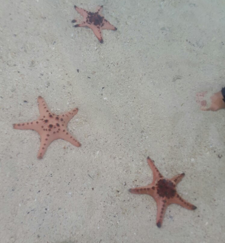 Pantai Pasir Panjang-勿里洞岛必去景点