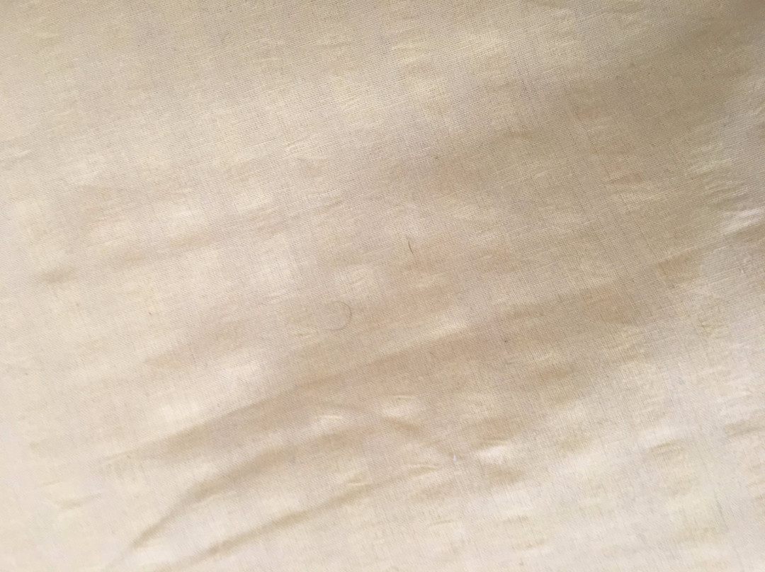 Hotel Carolinenhof主图