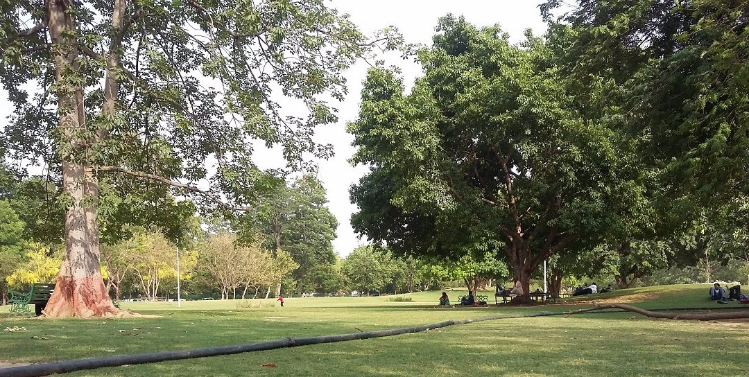 Begum Hazrat Mahal Park景点图片
