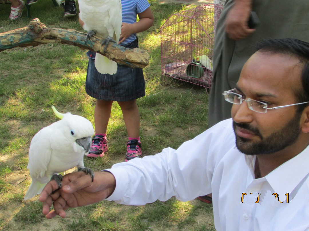 Bird Aviary-伊斯兰堡必去景点