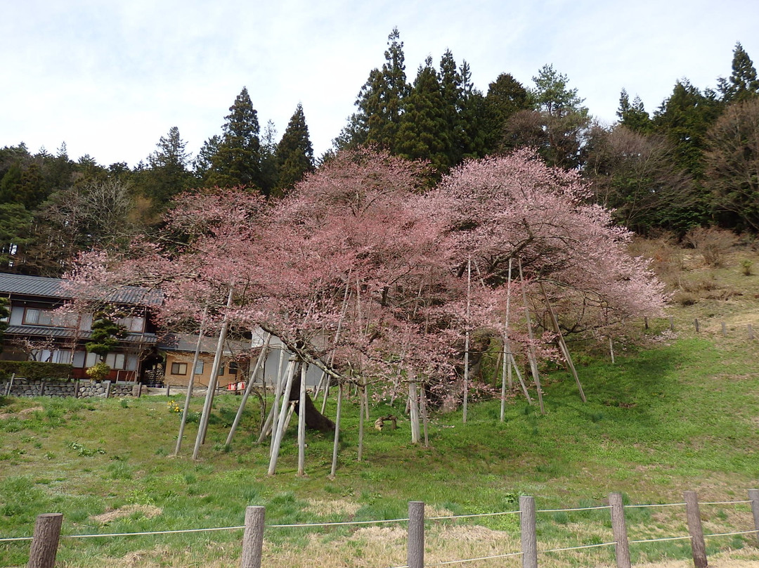 Garyu Park (Garyu Sakura)-高山市必去景点
