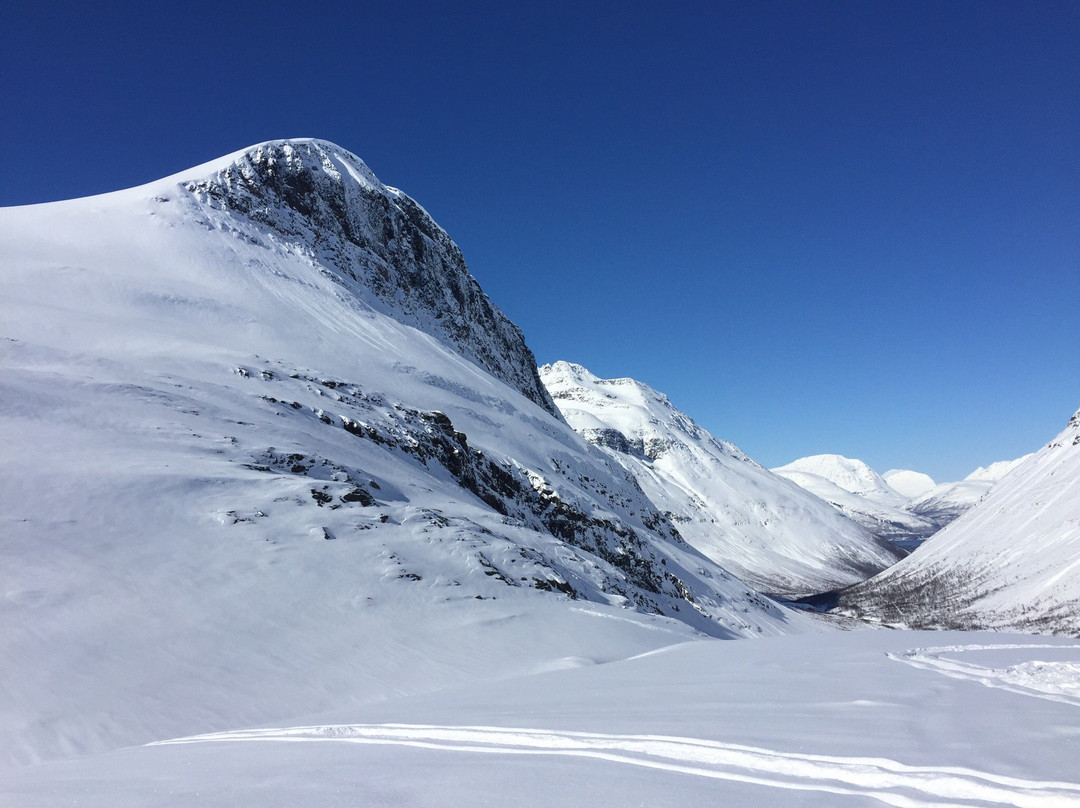 Bergbjorn Fjellservice景点图片