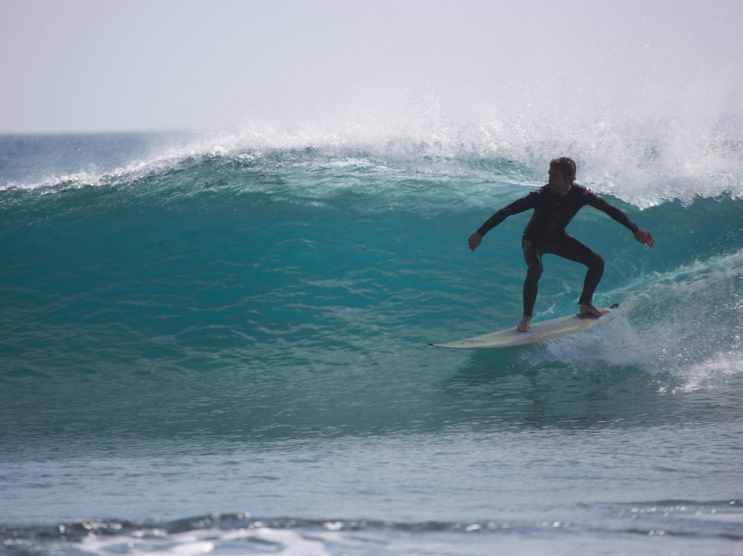 Nalusurf Surfschool景点图片