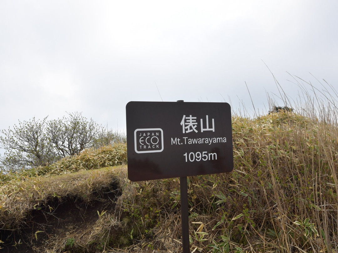 Mt. Tawarayama景点图片