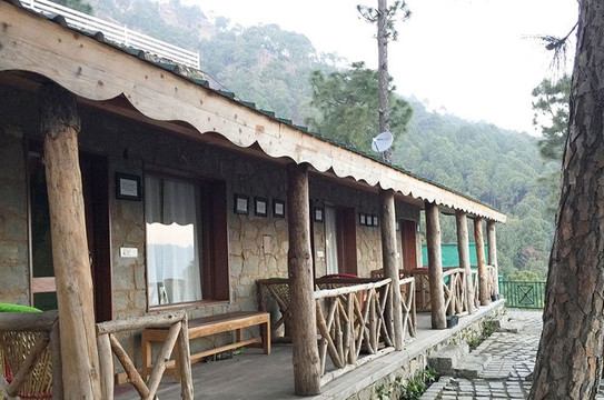 Sari酒店住宿-Nature Stay Kasauli