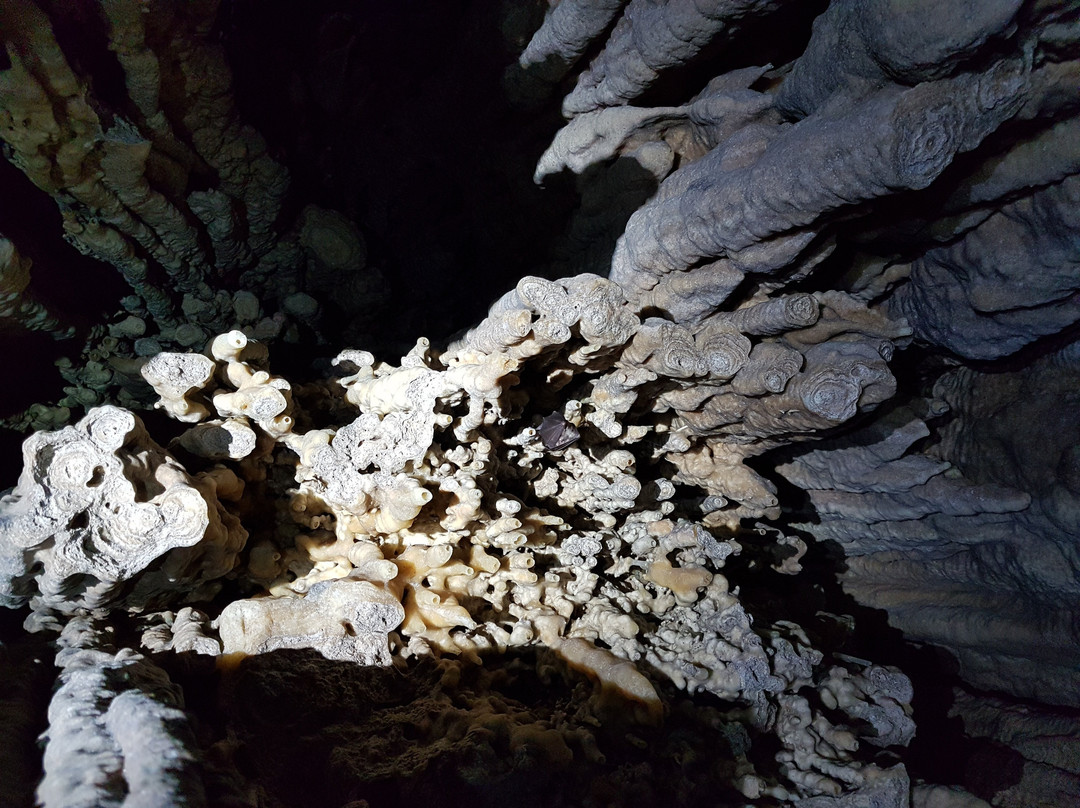 Grotte dell'Abbadessa景点图片