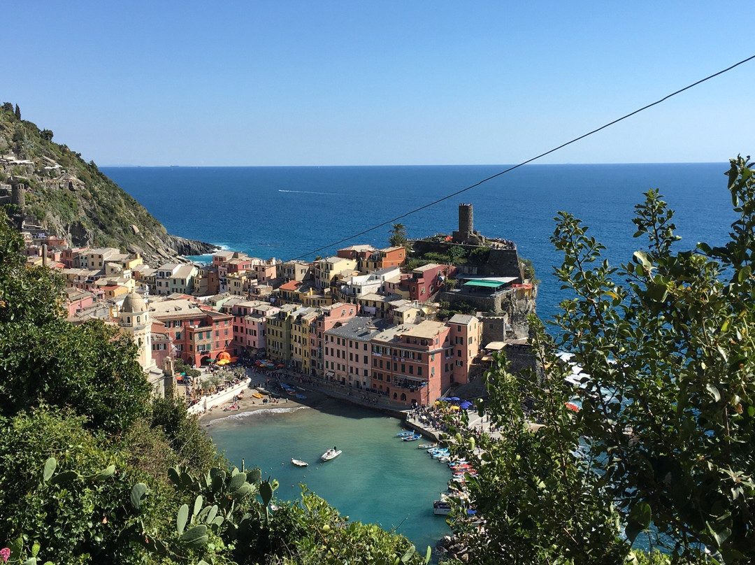 Cinque Terre Private Tours景点图片