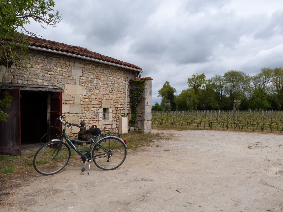 Vignoble Chauraud景点图片