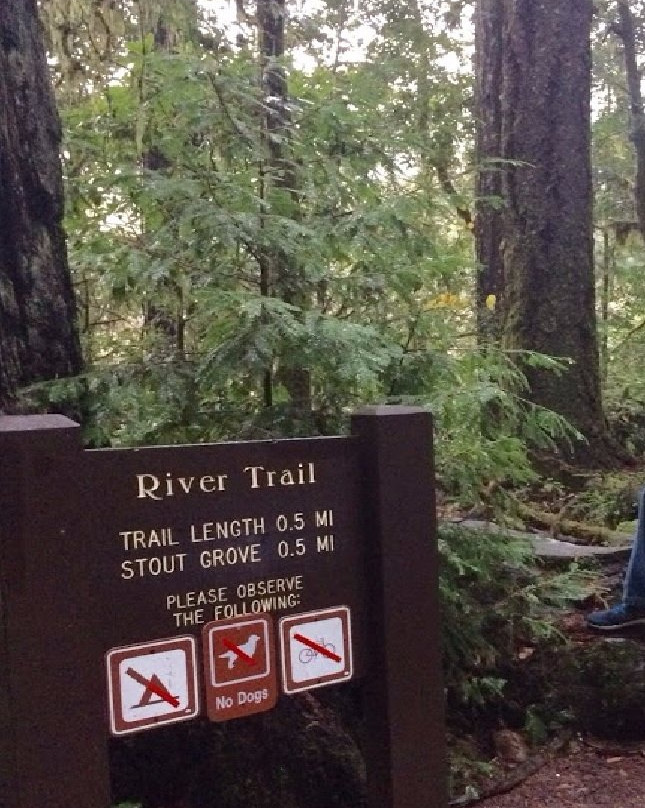 Little Bald Hill Trail-红木国家公园必去景点