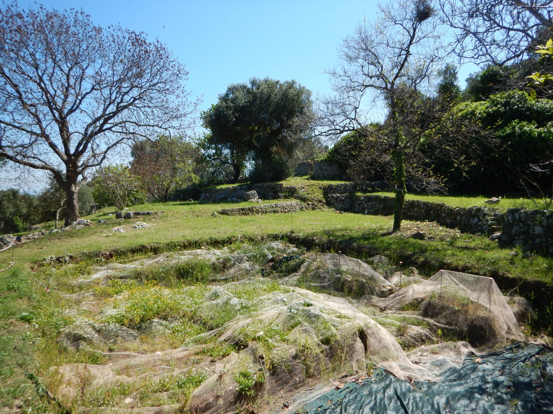 Parco Archeologico e Naturale di Santa Maria d'Agnano景点图片