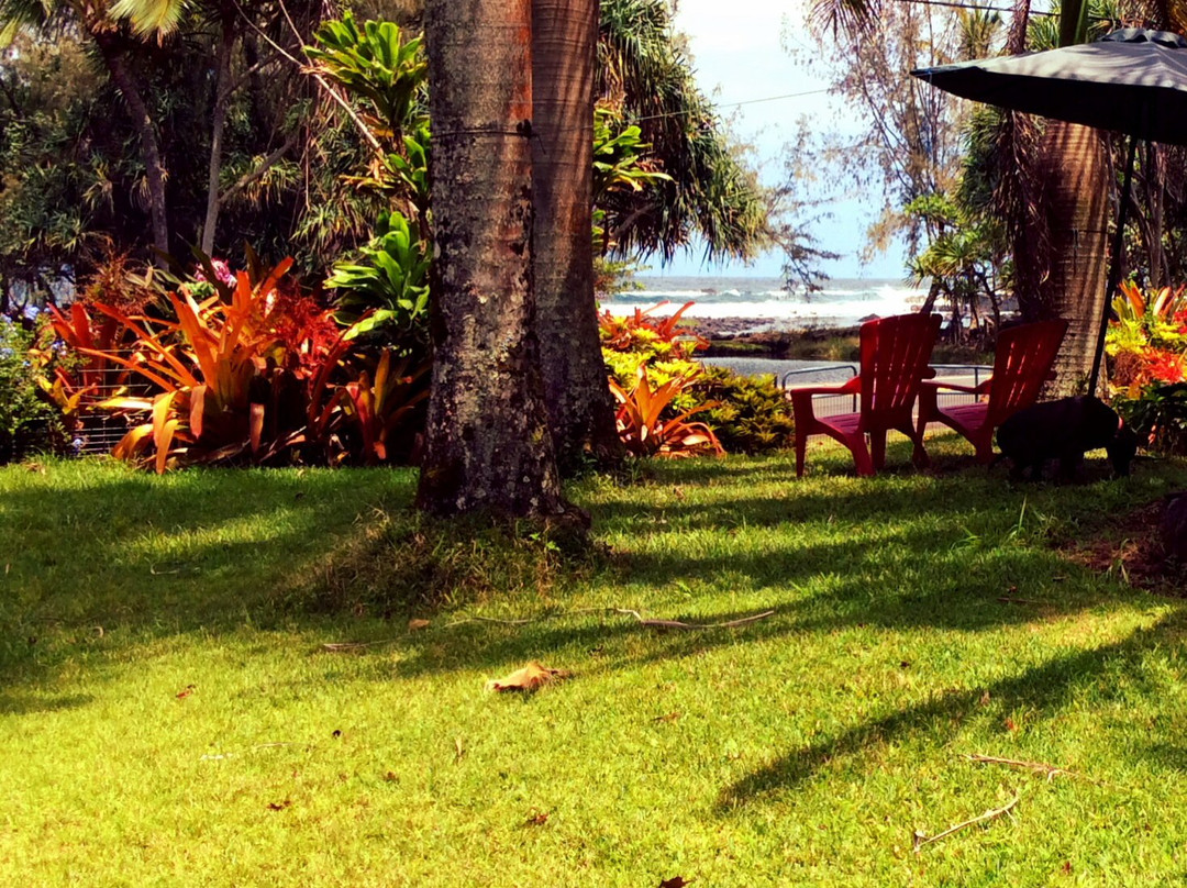 At the Beach with Friends Bed & Breakfast