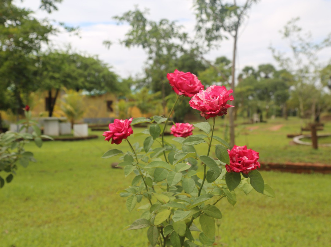 Galkulama酒店住宿-Lake Leisure Resort