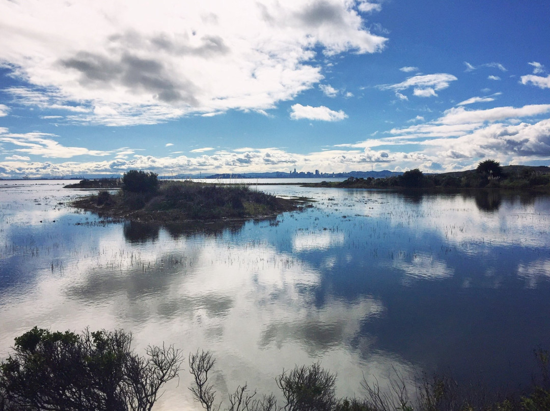 Marina Bay Trail-列治文必去景点
