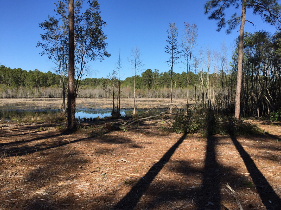 Laura S. Walker State Park-Waycross必去景点