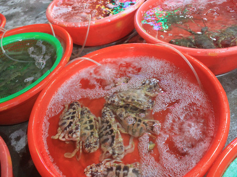 Two Wheel Adventures-岘港必去景点