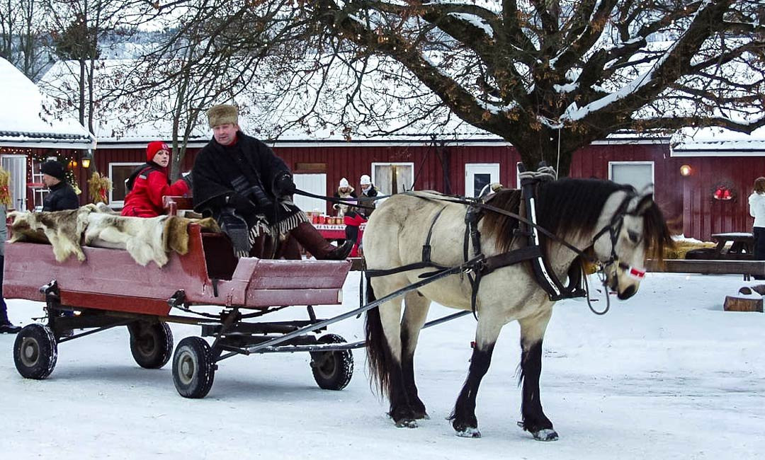 Hauger Farm-奥斯陆必去景点