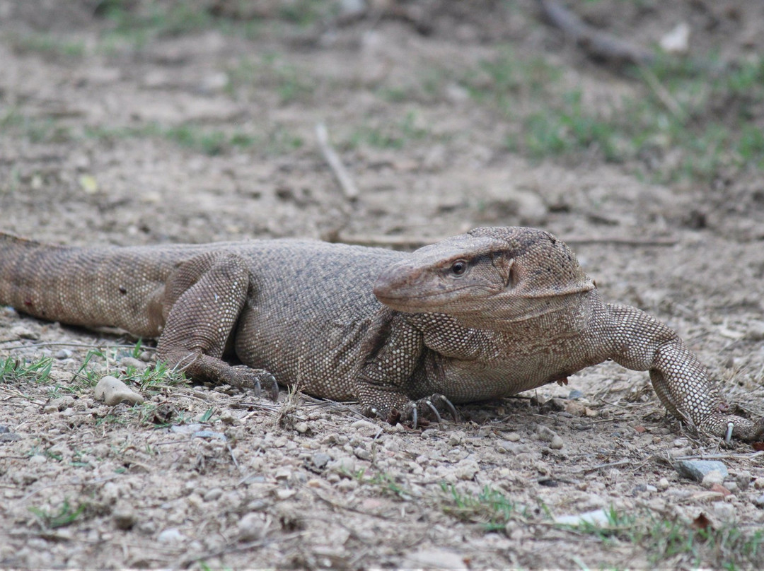 Keoladeo Shiva temple-Bharatpur District必去景点