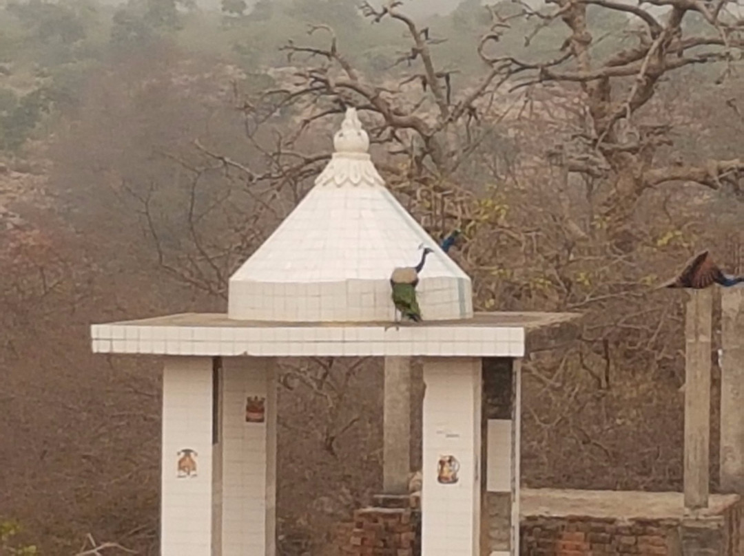 Parson Temple景点图片