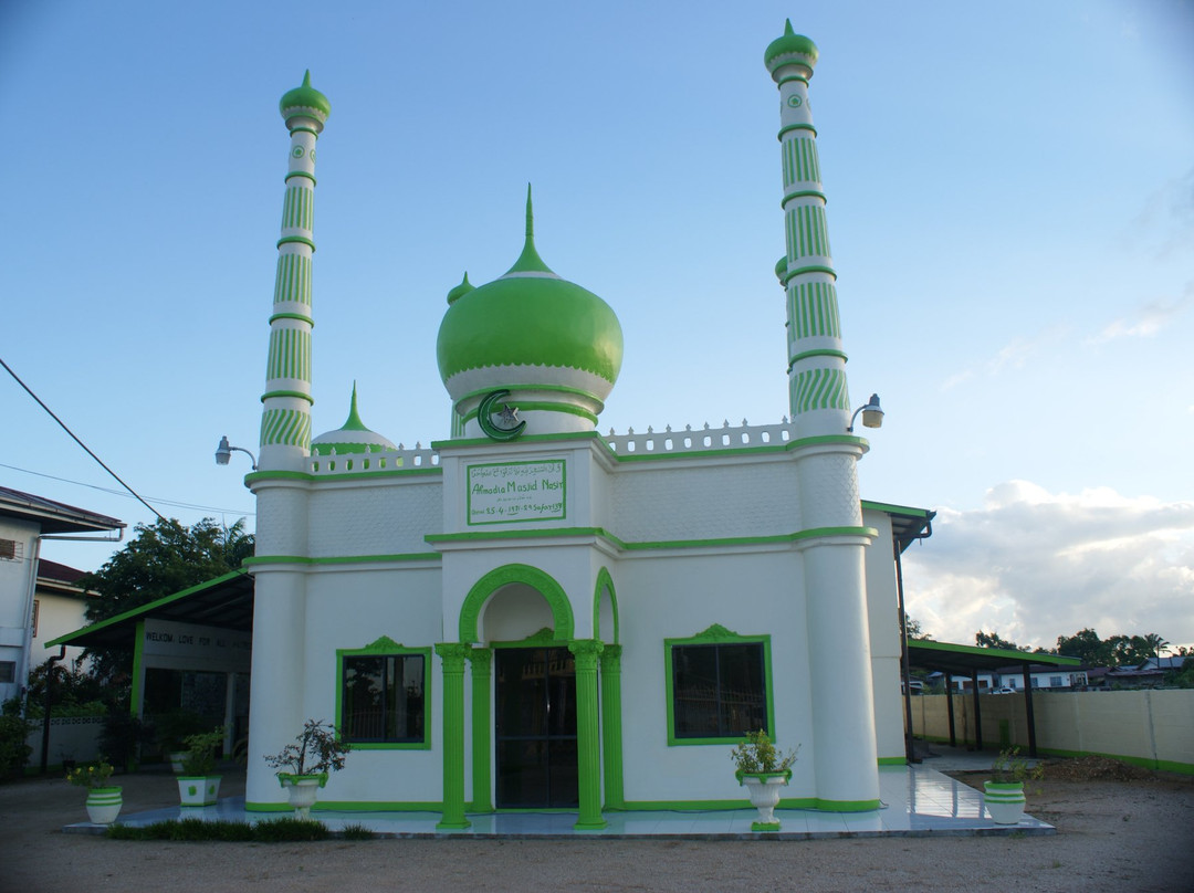 Ahmadiyya Muslim Nasir Mosque景点图片
