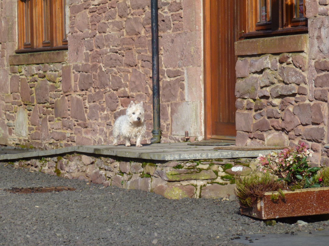 Auchteralyth Steadings