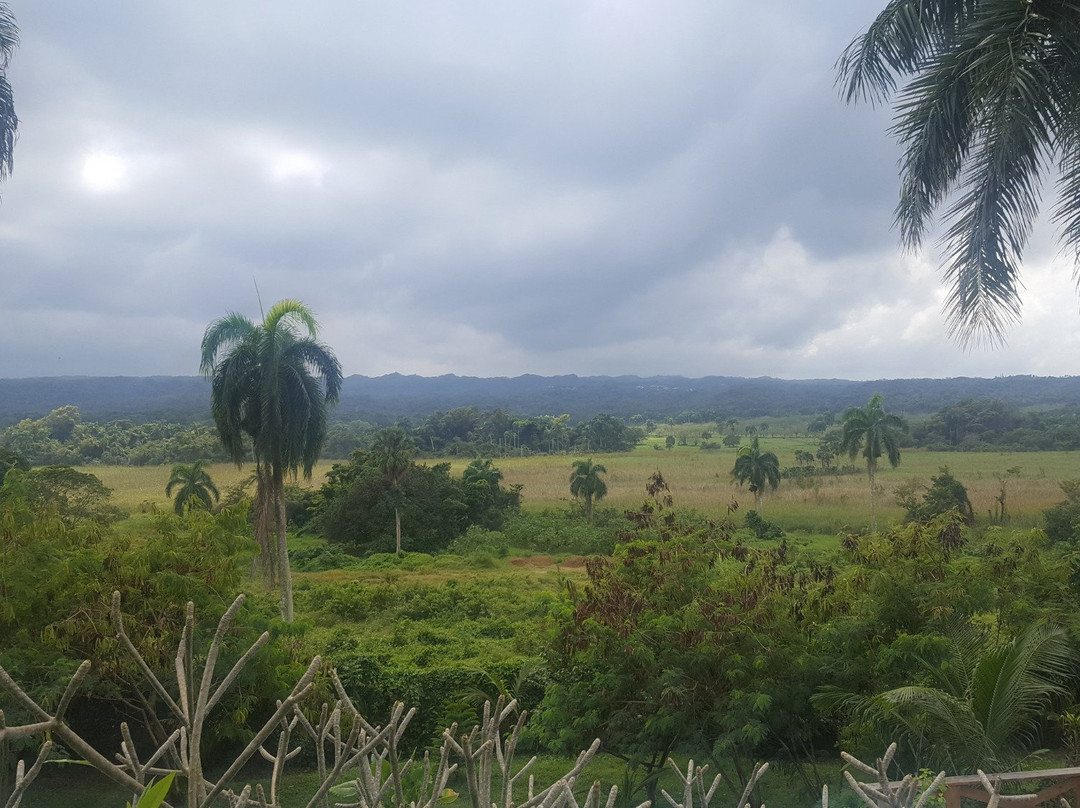 Casa Lilly B&B Cabarete主图