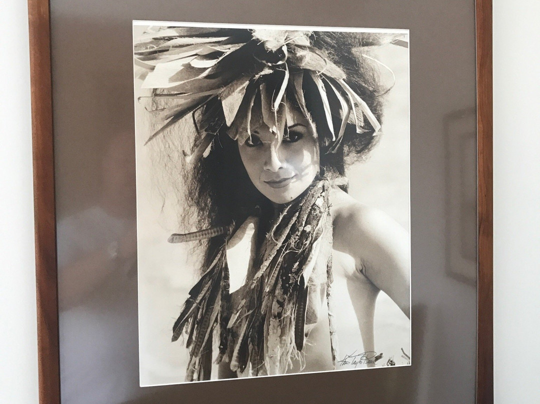 Kim Taylor Reese Gallery-哈乌乌拉必去景点