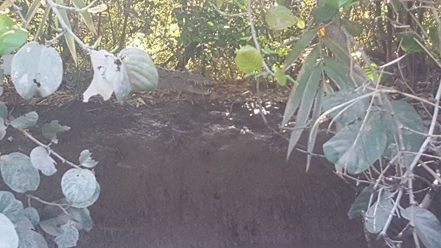 Red Pacific Sunset - Alex Tours-波特雷罗必去景点