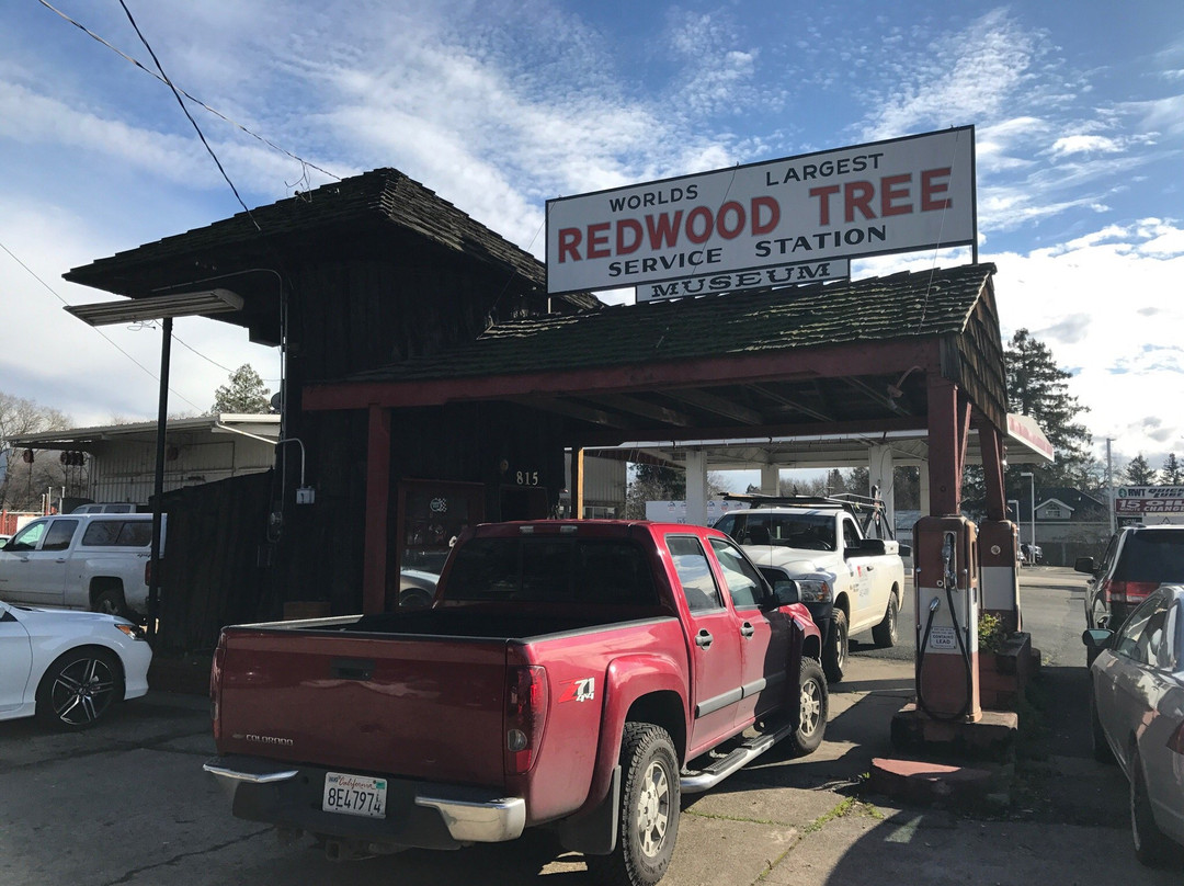 World's Largest Redwood Tree Service Station景点图片