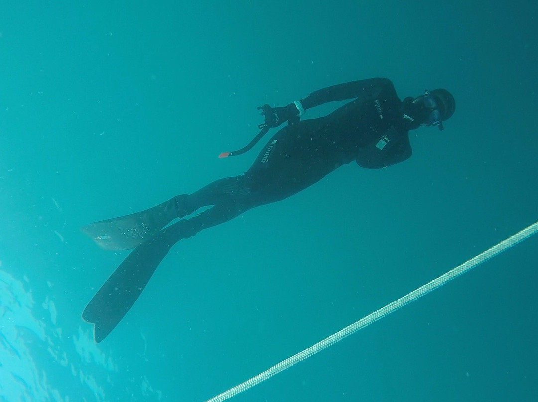 Freedive Blue Marine-Gili Air必去景点