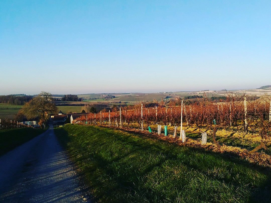 Domaine Maine Giraud / Alfred de Vigny-Champagne-Vigny必去景点