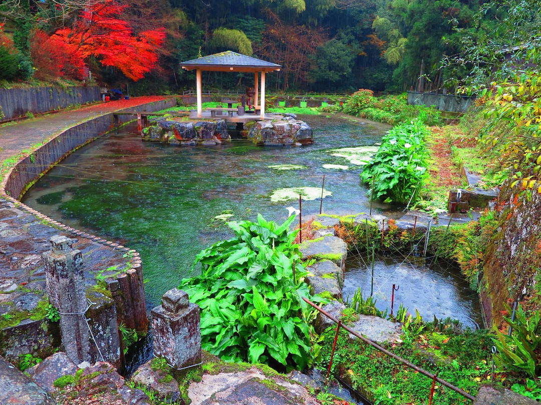 Hongu Izumi Spring