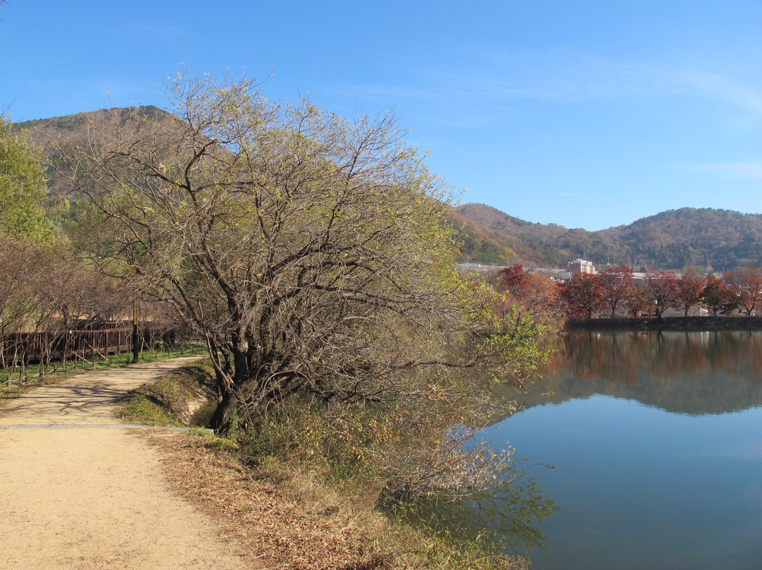 Jinhae NFRDI Environment Eco-park-昌原市必去景点