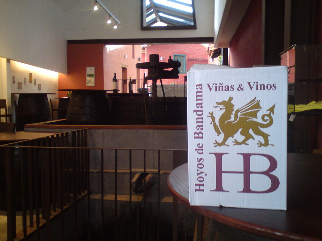 Bodega Hoyos de Bandama景点图片