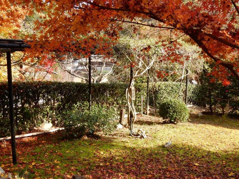 Nenbutsu-ji Temple-八幡市必去景点