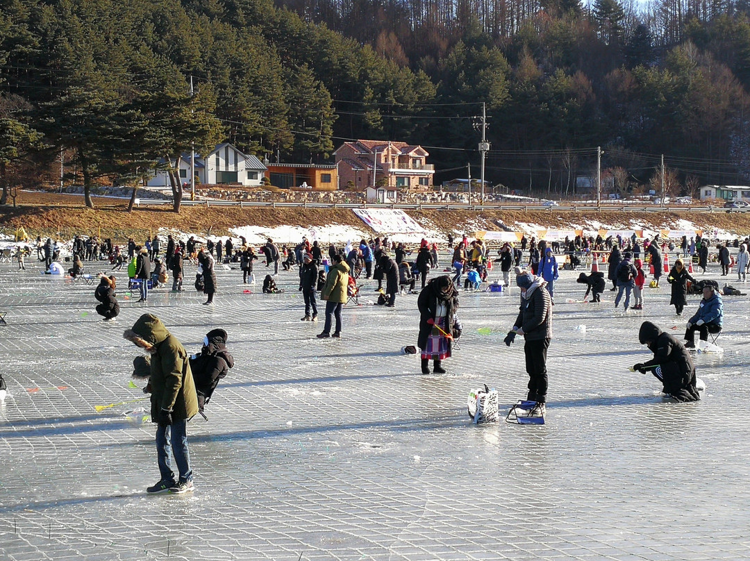 Pyeongchang Trout Festival-平昌郡必去景点