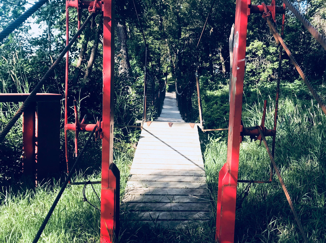 Senkiw Suspension Bridge-Emerson必去景点