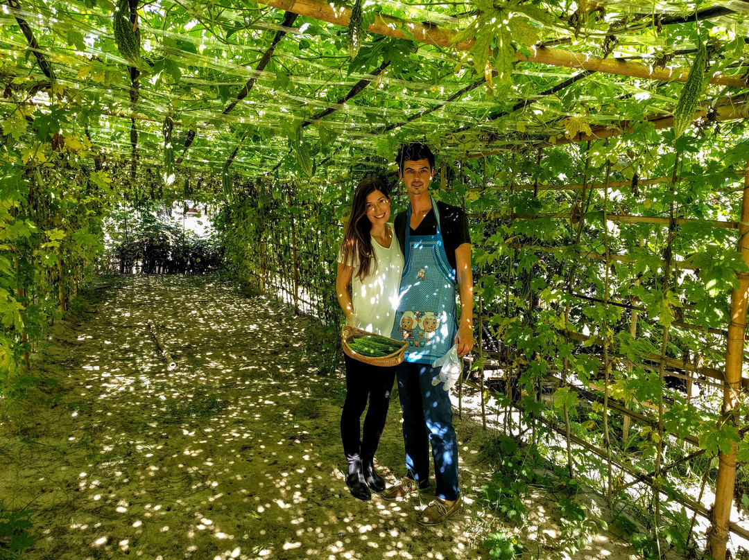 Lin's Family Experience-曼德勒必去景点