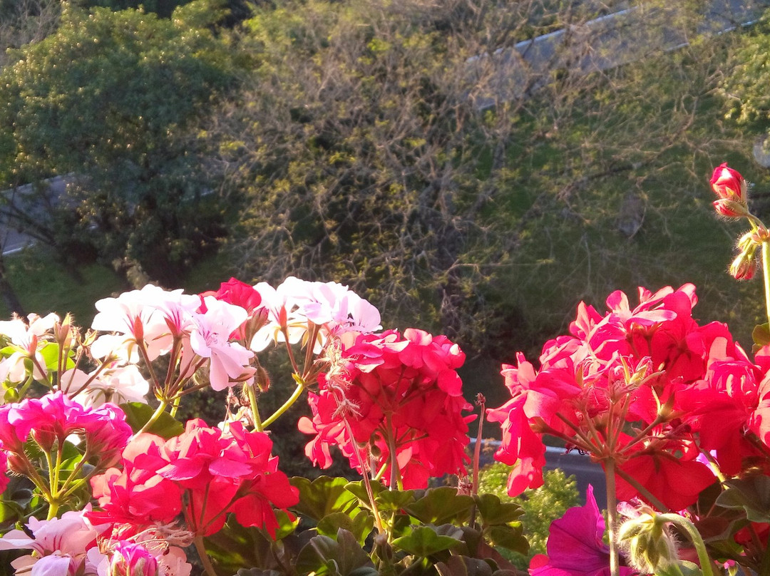 Centro de Informações Turísticas-Nova Petropolis必去景点